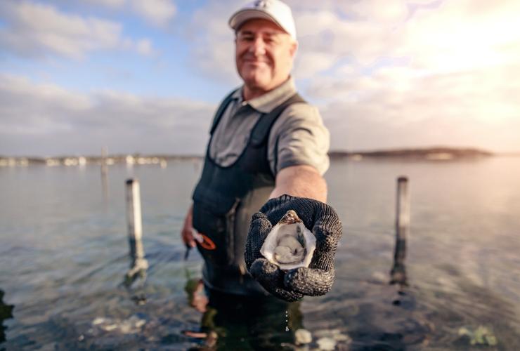 Experience Coffin Bay, Eyre Peninsula, South Australia © Tourism Australia