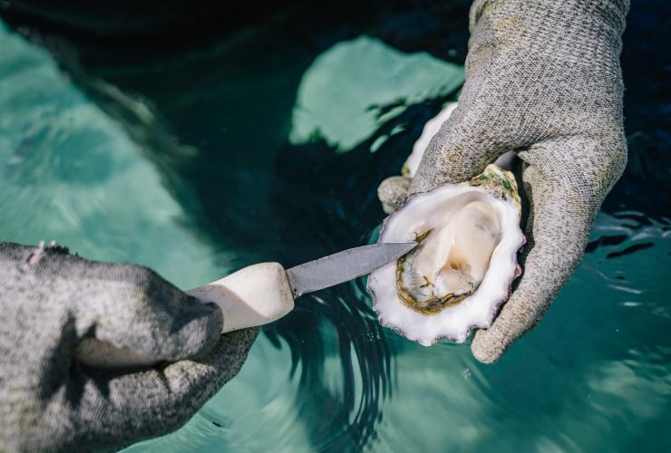 Experience Coffin Bay, Eyre Peninsula, South Australia © City of Port Lincoln/ Kinship Productions