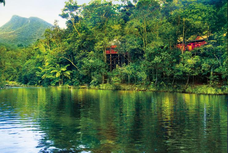 View across Mossman Gorge River of Silky Oaks Lodge peaking through the trees of the Daintree Rainforest, Queensland © Silky Oaks Lodge