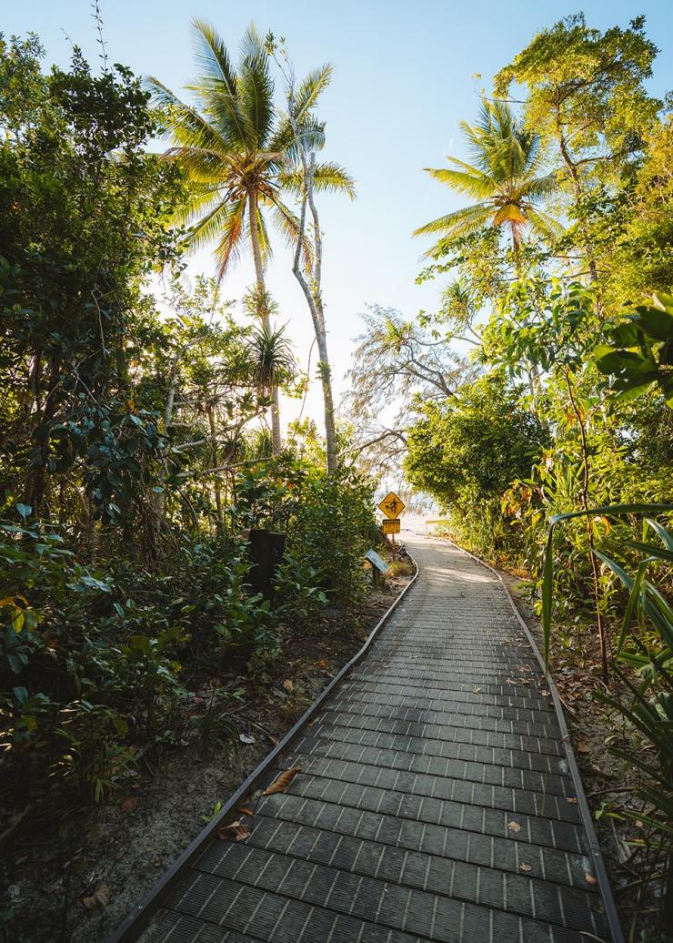 Dubuji Boardwalk, Cape Tribulation, Queensland © Tourism Australia