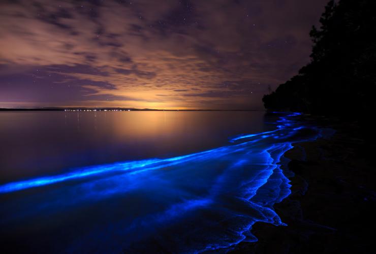 Bioluminescence, Jervis Bay, New South Wales © Maree Clout, Destination NSW