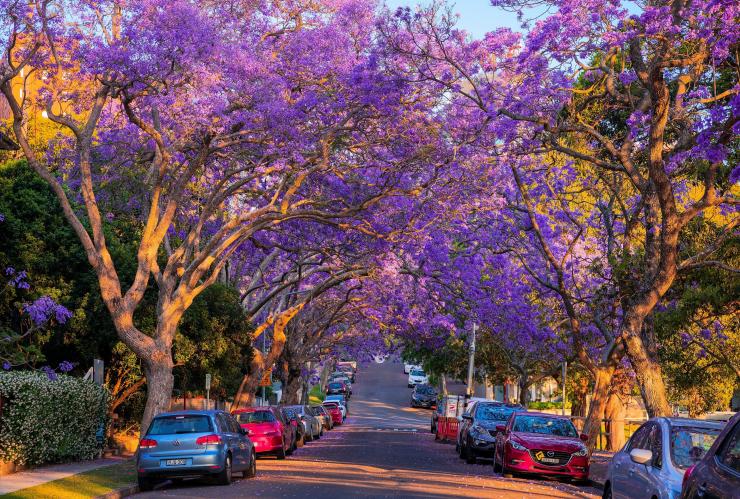 Kirribilli, Sydney, New South Wales © Destination NSW