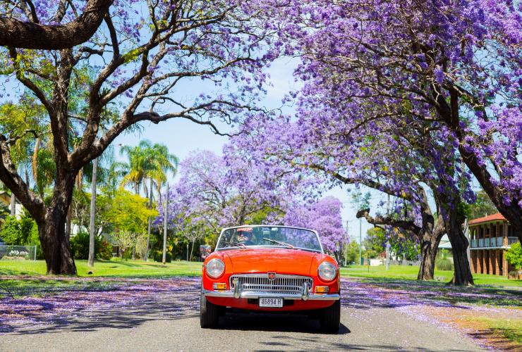 Grafton, New South Wales © Destination NSW