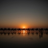 Cable Beach, Broome, Western Australia © Tourism Australia