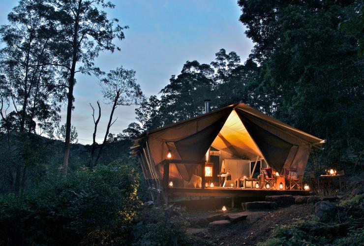 Nightfall Camp, Lamington, QLD © Nightfall Camp