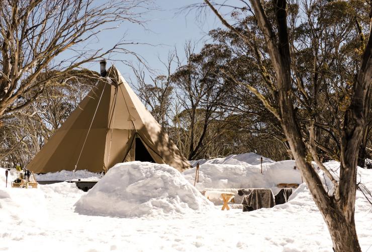 Alpine Nature Experience, Mt Hotham, VIC © Georgie James Photography