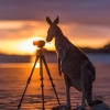 Woman admires a kangaroo on a white sand beach at Lucky Bay, Esperance, Western Australia © Tourism Australia