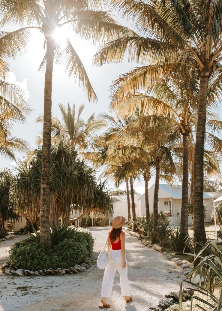 A woman wearing a wide brim hat wandering along a sandy path beneath rows of palm trees at Lady Elliot Island Eco Resort, Great Barrier Reef, Queensland © Tourism and Events Queensland