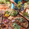 Native ingredients on a table at Ayers Rock Resort © Voyages