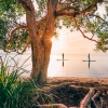 Paddleboarding, Noosa, QLD © Tourism and Events Queensland