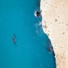 A whale leaping out of the ocean during a tour with Dive Jervis Bay, Jervis Bay, New South Wales © Jordan Robins
