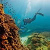 Great Barrier Reef, Heron Island, Queensland © Paul Giggle, Tourism and Events Queensland