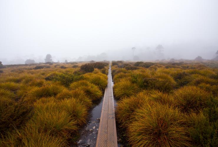 Cradle Mountain Signature Walk, Cradle Mountain-Lake St Clair National Park, TAS © Tasmanian Walking Company / Great Walks of Australia