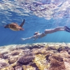 Heron Island, Southern Great Barrier Reef, Queensland © Tourism and Events Queensland