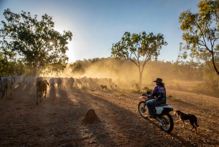 Gilberton Outback Retreat, Gilbert River, Queensland © Tourism and Events Queensland