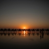Cable Beach, Broome, Western Australia © Tourism Australia