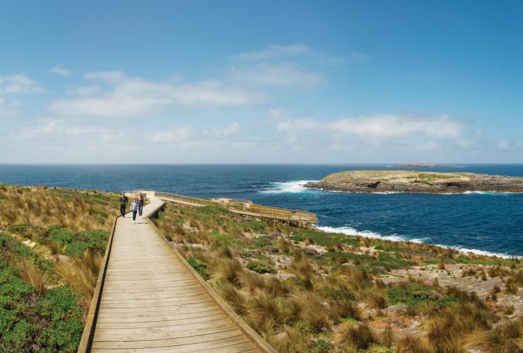 Cape du Couedic, Flinders Chase National Park, Kangaroo Island, SA © Adam Bruzzone