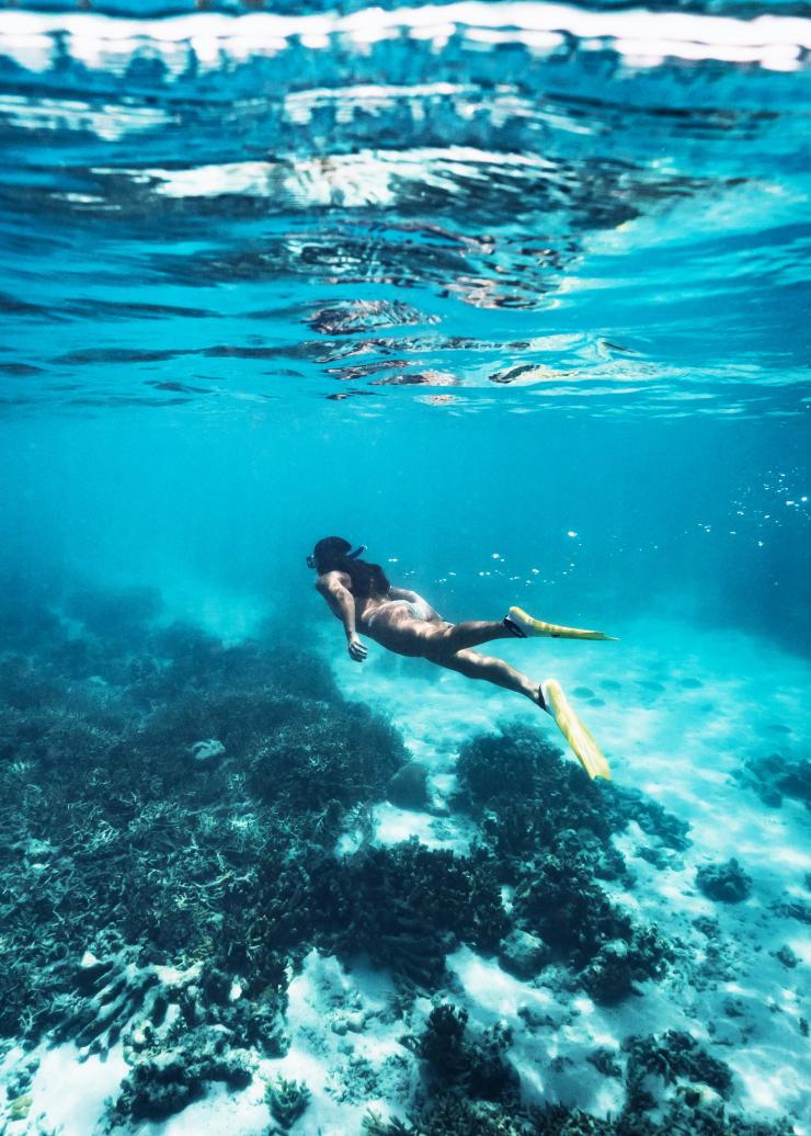 Snorkelling, Heron Island, Queensland © James Vodicka