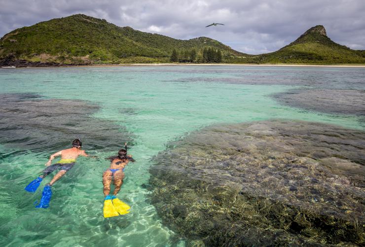 Snorkelling, Lord Howe Island, New South Wales © Luke Hanson