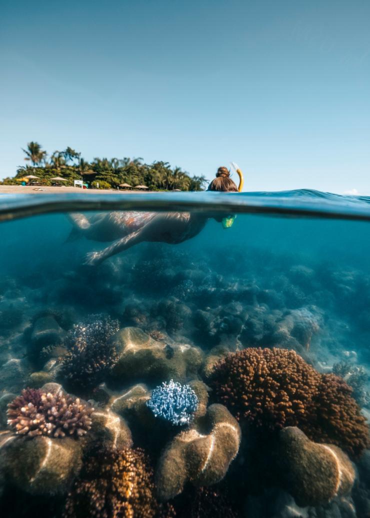 Reef Sprinter, Low Isles, Queensland © Tourism and Events Queensland