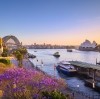 Jacarandas and Sydney Harbour at sunset, Sydney, NSW © Destination NSW