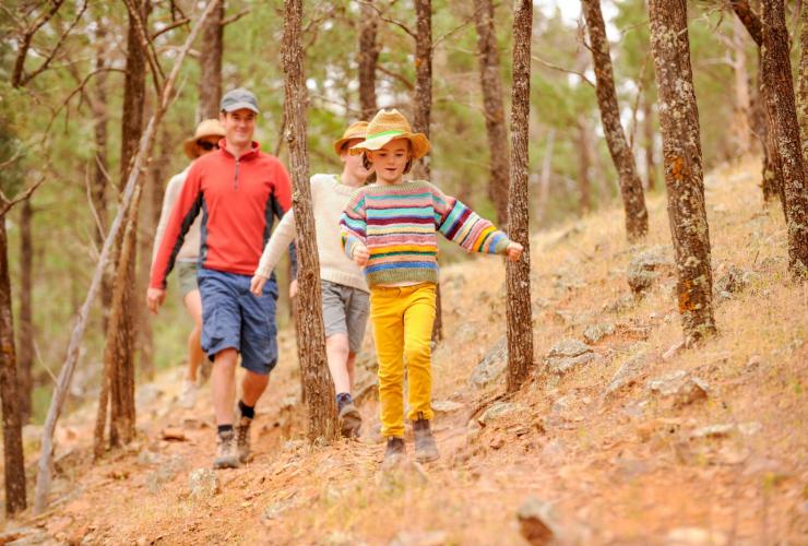 A family walking through the trees at Rawnsley Park Station, Hawker, South Australia © South Australian Tourism Commission