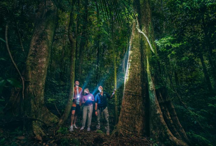 Guided tour through the Daintree Rainforest National Park, QLD © Tourism and Events Queensland