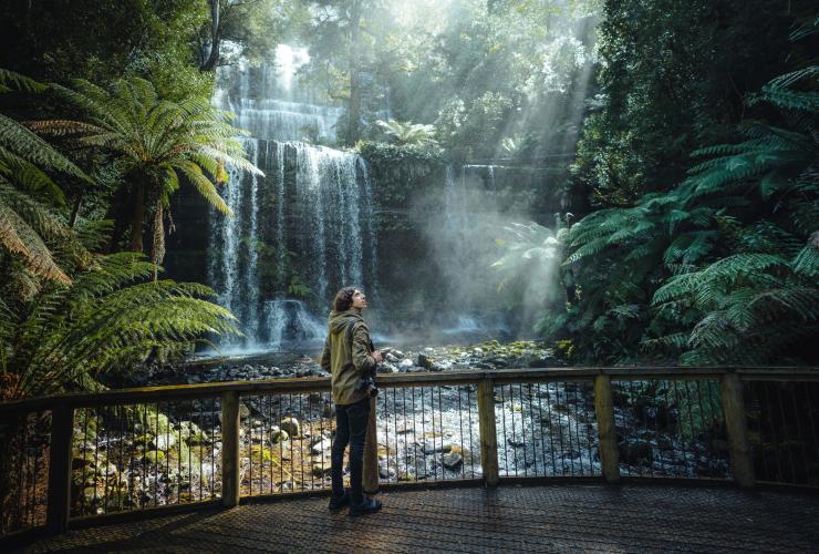 Russell Falls, Mt Field National Park, TAS © Jason Charles Hill