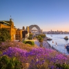 Jacarandas and Sydney Harbour at sunset, Sydney, NSW © Destination NSW