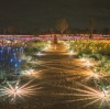 A visitor walking through the Field of Light art installation © Tourism NT/Mitchell Cox