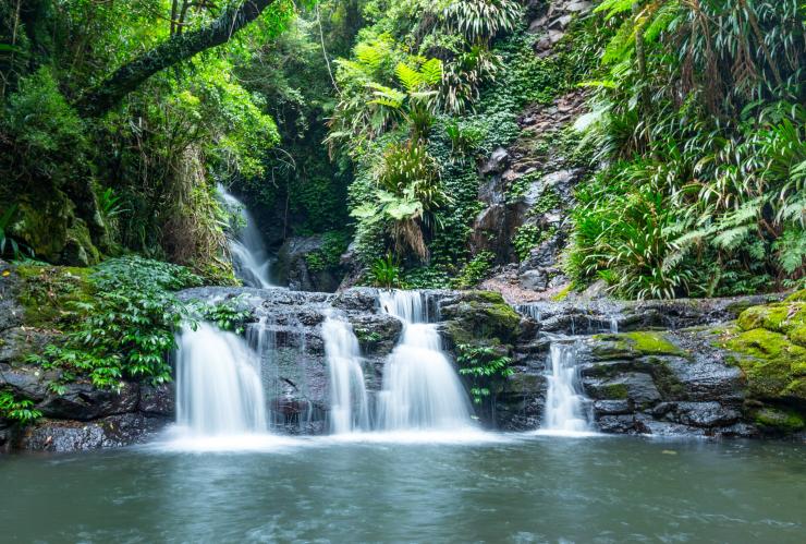 A small waterfall cascading over mossy rocks surrounded by rainforest at Elabana Falls, Lamington National Park, Queensland © Destination Gold Coast