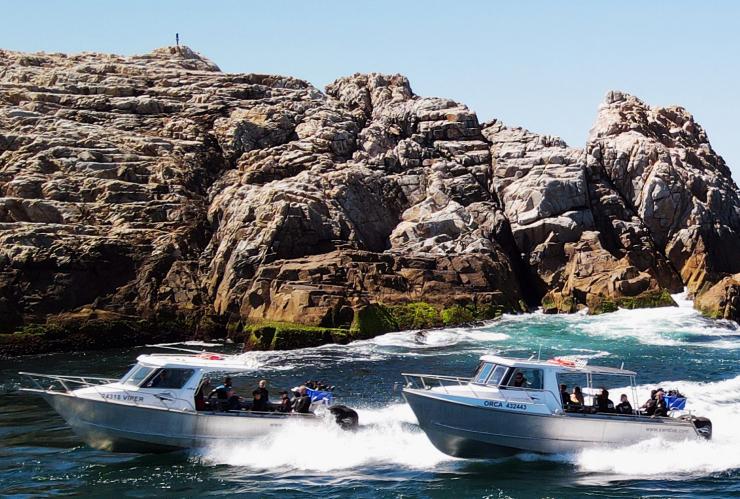 South West Rocks Dive Centre, South West Rocks, Nouvelle-Galles du Sud © South West Rocks Dive Centre