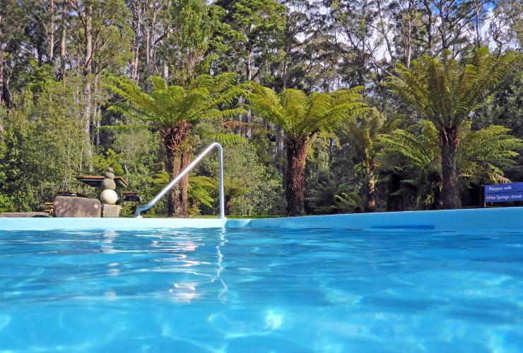 Hastings Caves and Thermal Springs, Huon Valley, Tasmanie © Sarajayne Lada