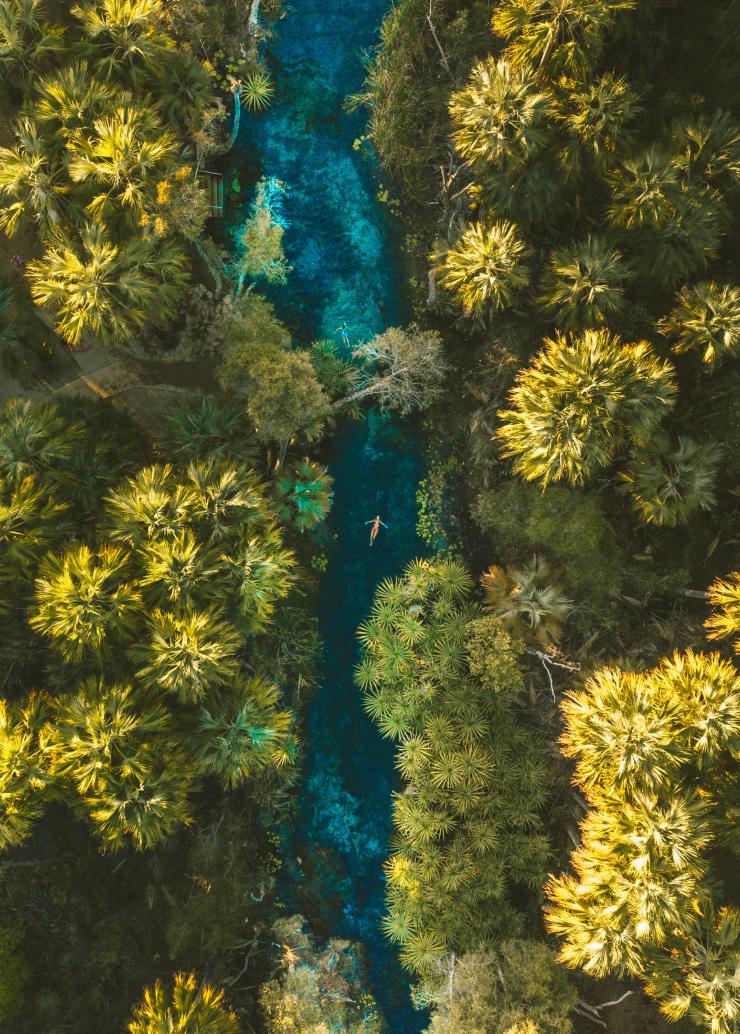 Pemandangan Bitter Springs dari udara, Elsey National Park, NT © Tourism NT/Mitch Cox