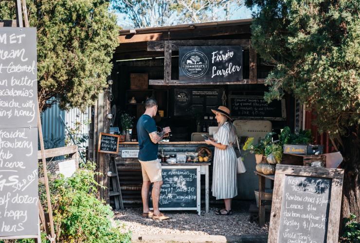 Tommerups Dairy Farm, Kerry, QLD © Tourism and Events Queensland