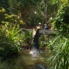 Dua ekor kanguru melihat ke arah kamera di Koala Conservation Reserve di Phillip Island di Victoria © Tourism Australia