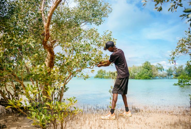 Borrgoron Coast to Creek Tours, Dampier Peninsula, Western Australia © Tourism Australia