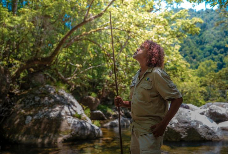Mossman Gorge Centre, Daintree Rainforest, Queensland © Tourism and Events Queensland