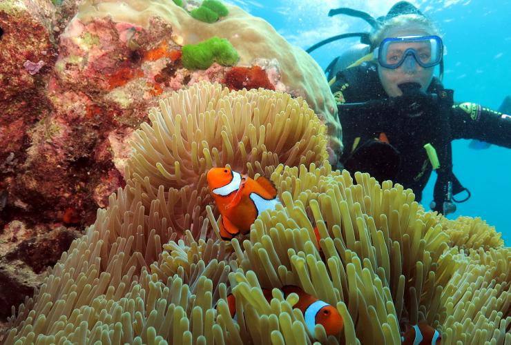 Poseidon Cruises, Agincourt Reef, Grande Barriera Corallina, Queensland © Quicksilver Group