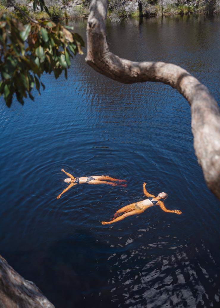 Habitat Noosa, Noosa, Queensland © Tourism and Events Queensland