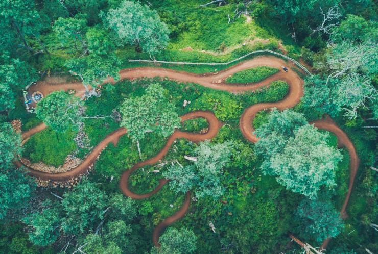 Vista aerea di un'area verde con un percorso per mountain bike che si snoda nel bushland del Blue Derby Mountain Bike Trails, Derby, Tasmania © Flow Mountain Bike