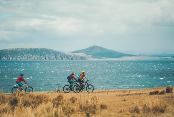 Tre persone in mountain bike lungo la costa erbosa con vista sull'oceano blu nel Maria Island National Park, Tasmania © Matt Staggs