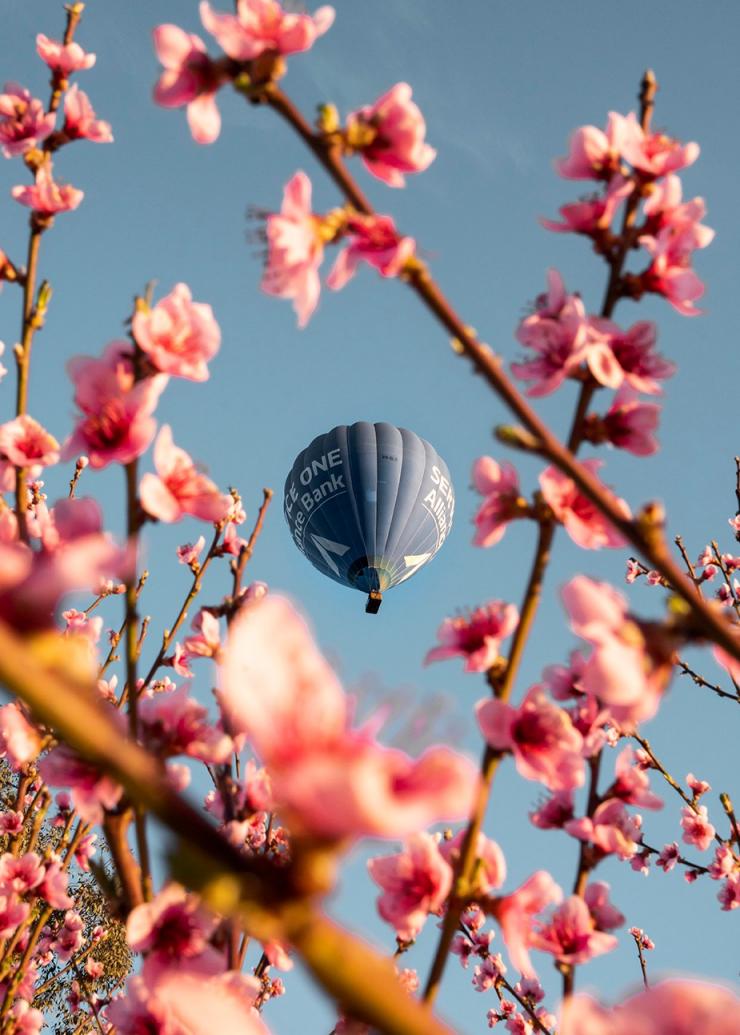Mongolfiere, Canberra, Australian Capital Territory © Rob Mulally