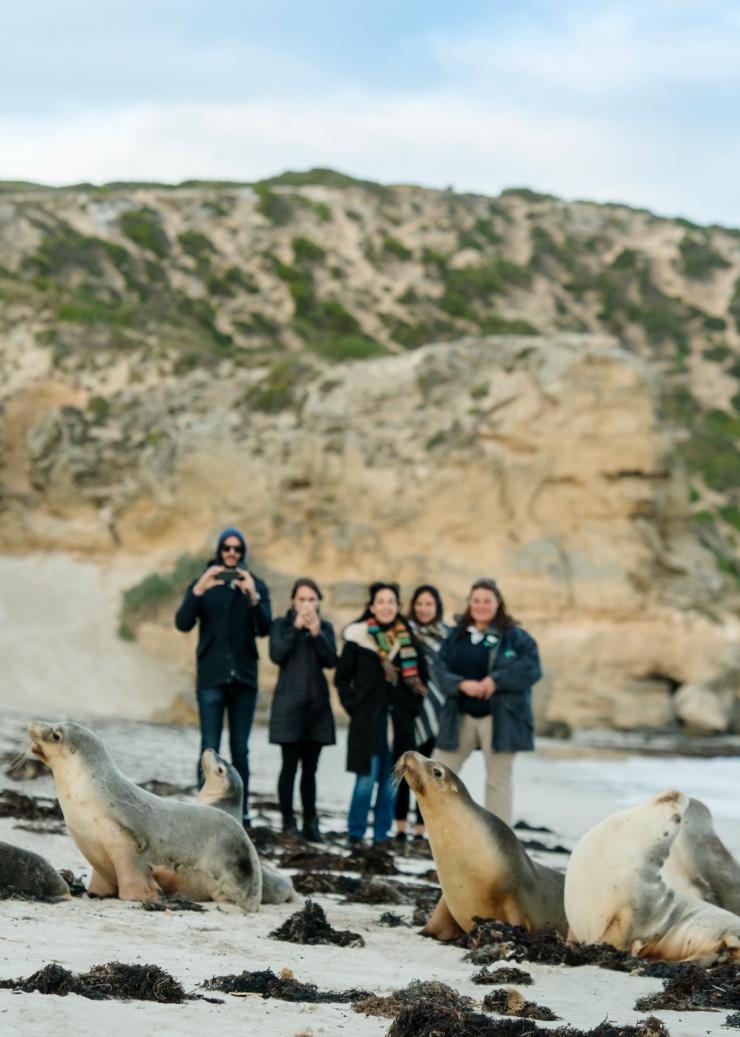 Seal Bay, Kangaroo Island, South Australia © Heidi Who? Photos