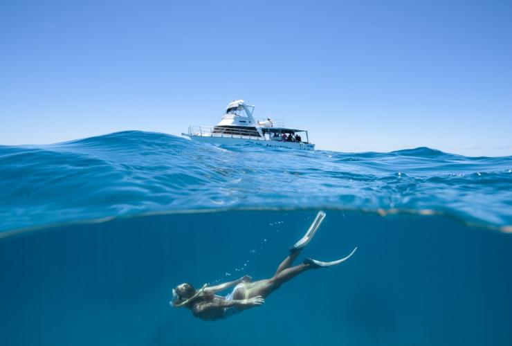 Adrenalin Dive and Snorkel at Lodestone Reef, Grande Barriera Corallina, Queensland © Townsville Enterprise Ltd