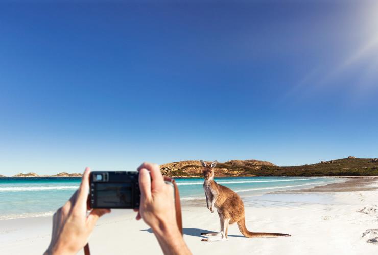 Lucky Bay, Cape Le Grand National Park, Western Australia © Tourism Australia