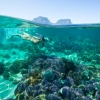 Lord Howe Island, New South Wales © Trevor King, Destination New South Wales