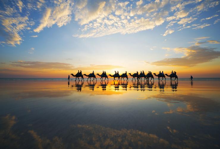 Cammelli, Cable Beach, Broome, Western Australia © Lauren Bath