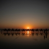 Cable Beach, Broome, Western Australia © Tourism Australia