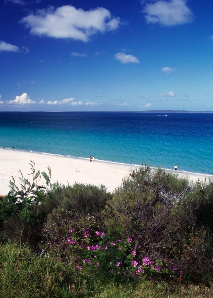 Hyams Beach, Jervis Bay, New South Wales © Tourism Australia